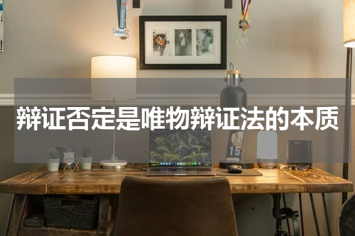 辩证否定是唯物辩证法的本质