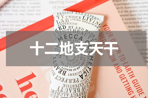 十二地支天干