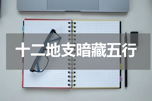 十二地支暗藏五行