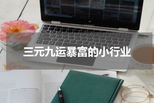 三元九运暴富的小行业