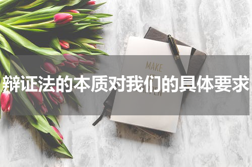 辩证法的本质对我们的具体要求