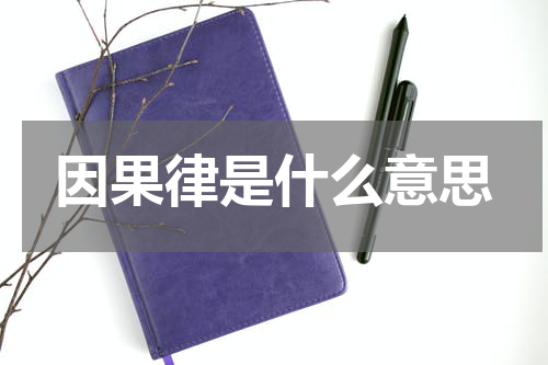 因果律是什么意思