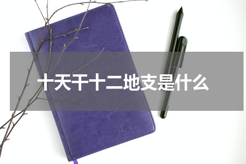 十天干十二地支是什么