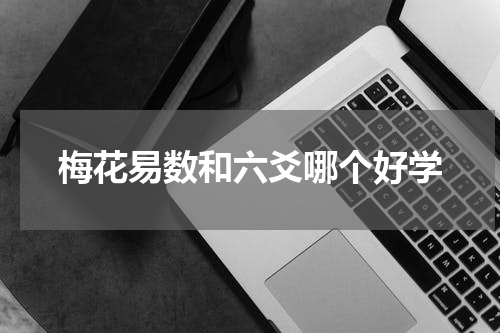 梅花易数和六爻哪个好学