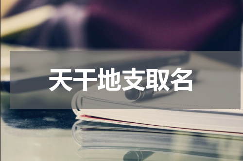 天干地支取名