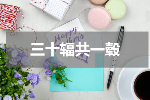 三十辐共一毂