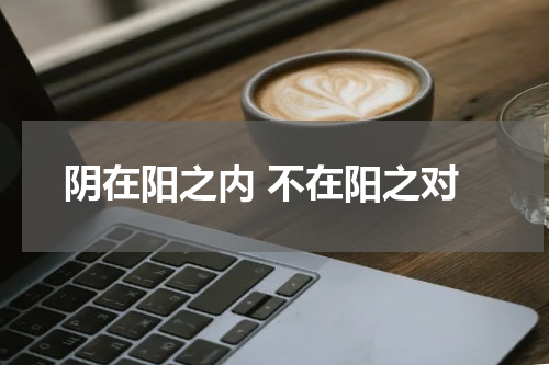 阴在阳之内 不在阳之对