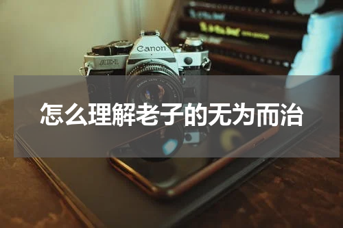 怎么理解老子的无为而治