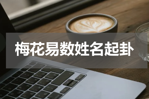 梅花易数姓名起卦