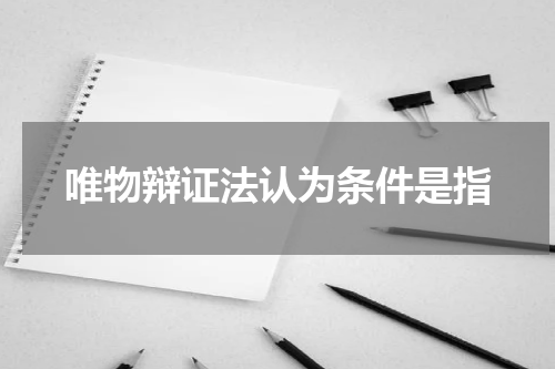 唯物辩证法认为条件是指