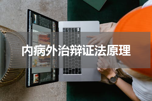 内病外治辩证法原理