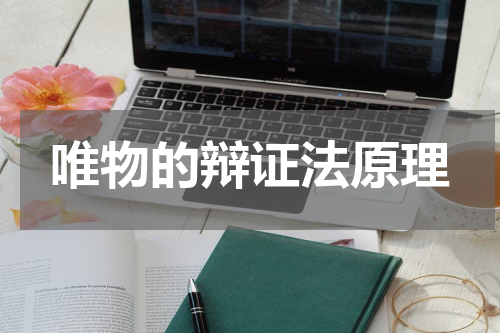 唯物的辩证法原理