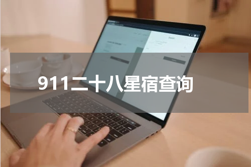 911二十八星宿查询