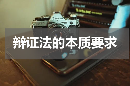 辩证法的本质要求