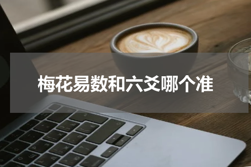 梅花易数和六爻哪个准