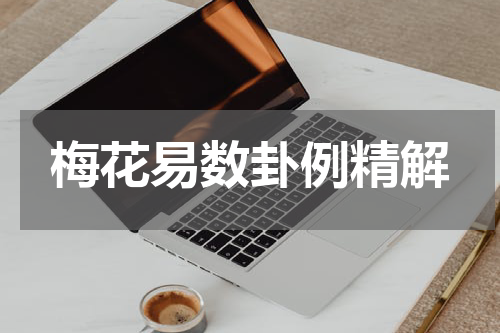 梅花易数卦例精解