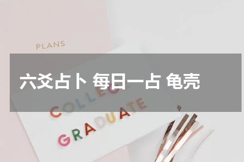六爻占卜 每日一占 龟壳