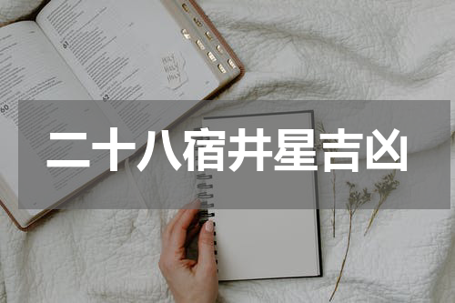 二十八宿井星吉凶