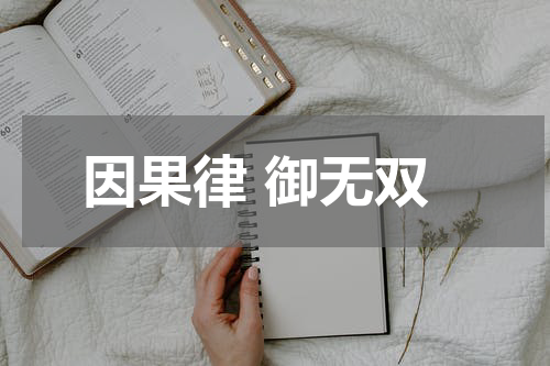 因果律 御无双