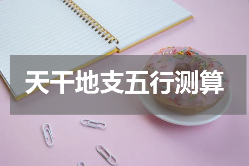 天干地支五行测算