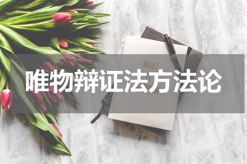 唯物辩证法方法论