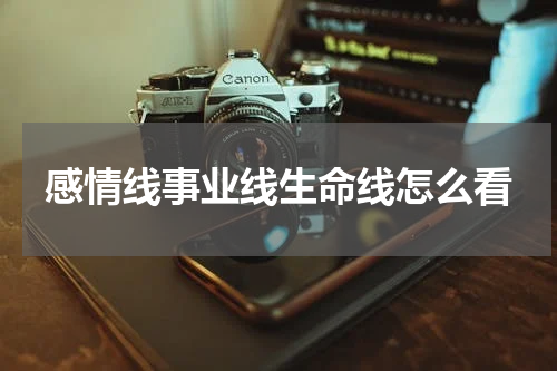 感情线事业线生命线怎么看