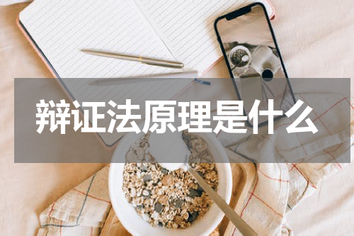 辩证法原理是什么