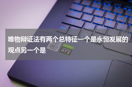 唯物辩证法有两个总特征一个是永恒发展的观点另一个是