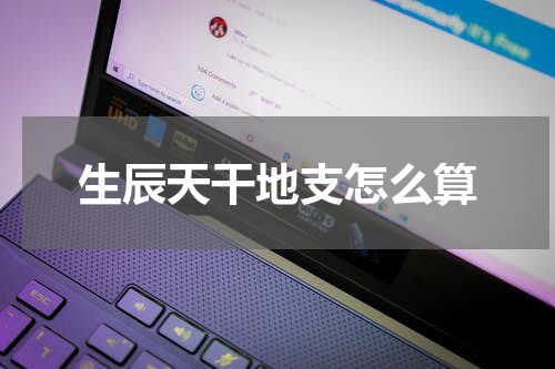 生辰天干地支怎么算