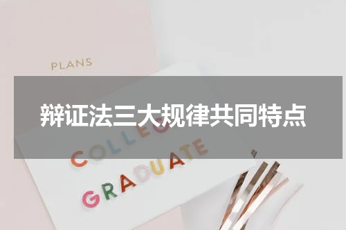 辩证法三大规律共同特点