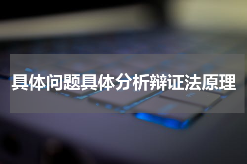 具体问题具体分析辩证法原理