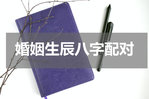 婚姻生辰八字配对