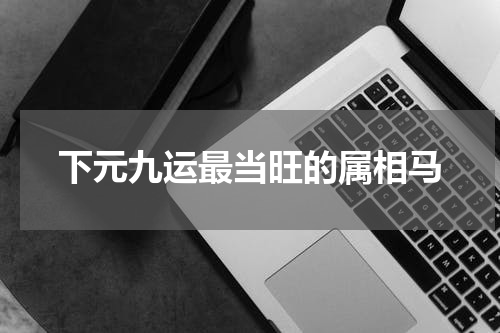 下元九运最当旺的属相马