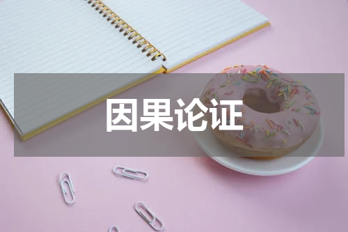 因果论证