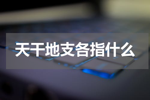 天干地支各指什么