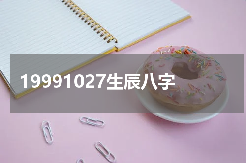 19991027生辰八字