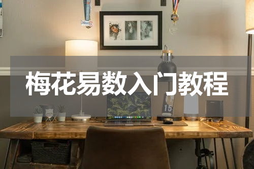 梅花易数入门教程
