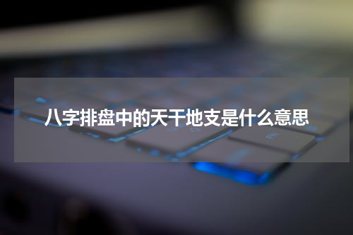 八字排盘中的天干地支是什么意思