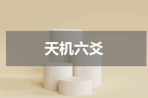 天机六爻