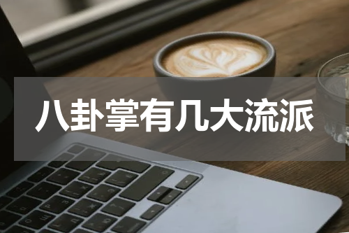 八卦掌有几大流派