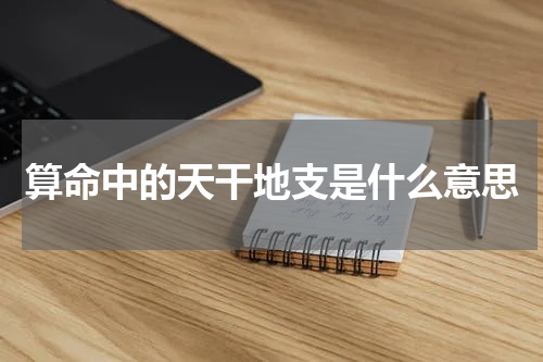 算命中的天干地支是什么意思
