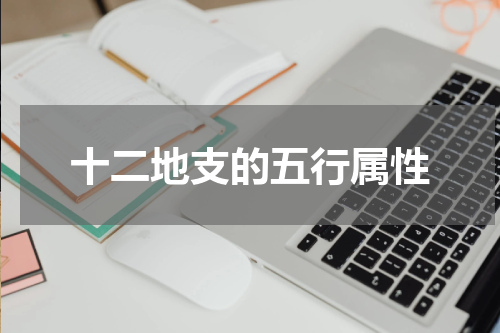 十二地支的五行属性