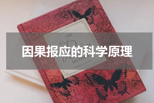 因果报应的科学原理