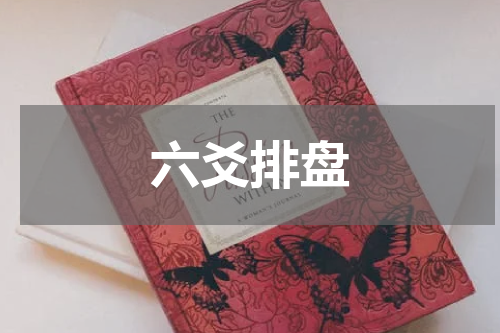 六爻排盘