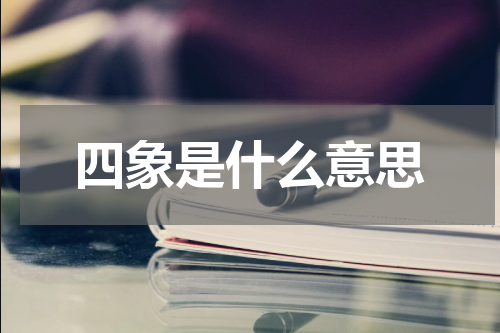 四象是什么意思