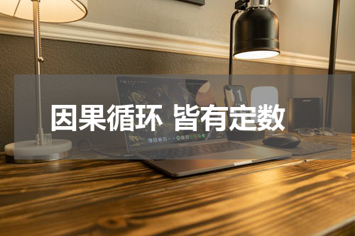 因果循环 皆有定数