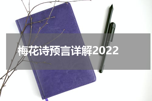 梅花诗预言详解2022