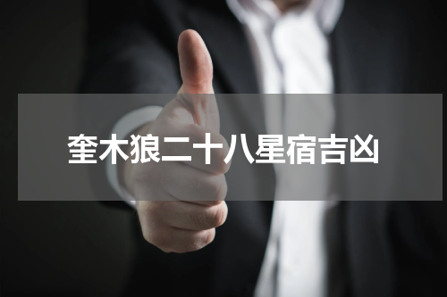 奎木狼二十八星宿吉凶