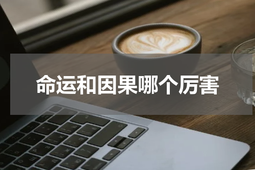 命运和因果哪个厉害