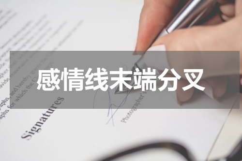 感情线末端分叉